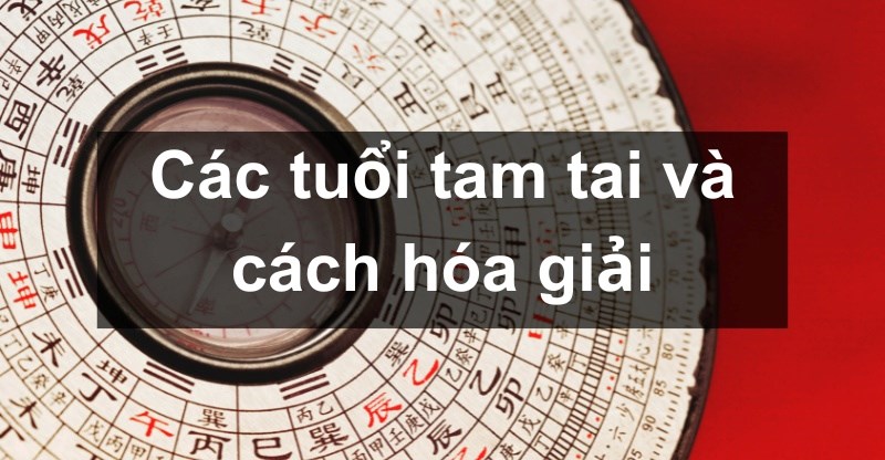 Tổng hợp thông tin về Tam Tai tuổi Thân 2004 năm 2023